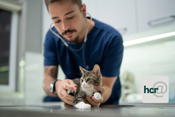 photo of a vet with a kitten