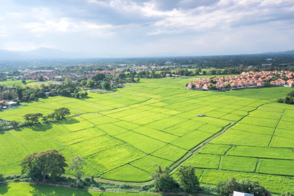 Agricultural Land to develop