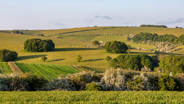 Unregistered Land Image