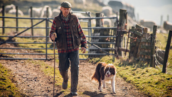 Farmer walking with his dog