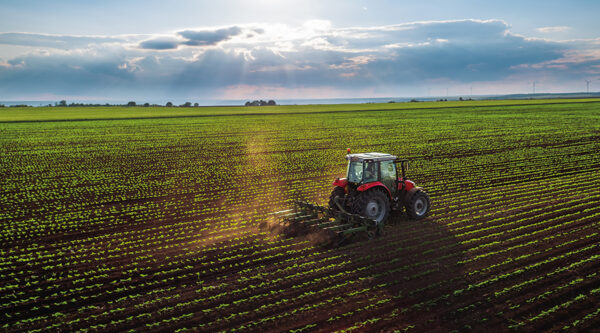 Tractor in the fild