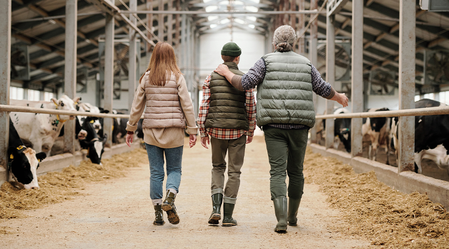 A family walking through their farm